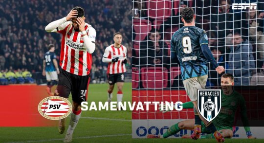 Samenvatting PSV - Heracles