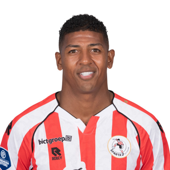 P. van Aanholt